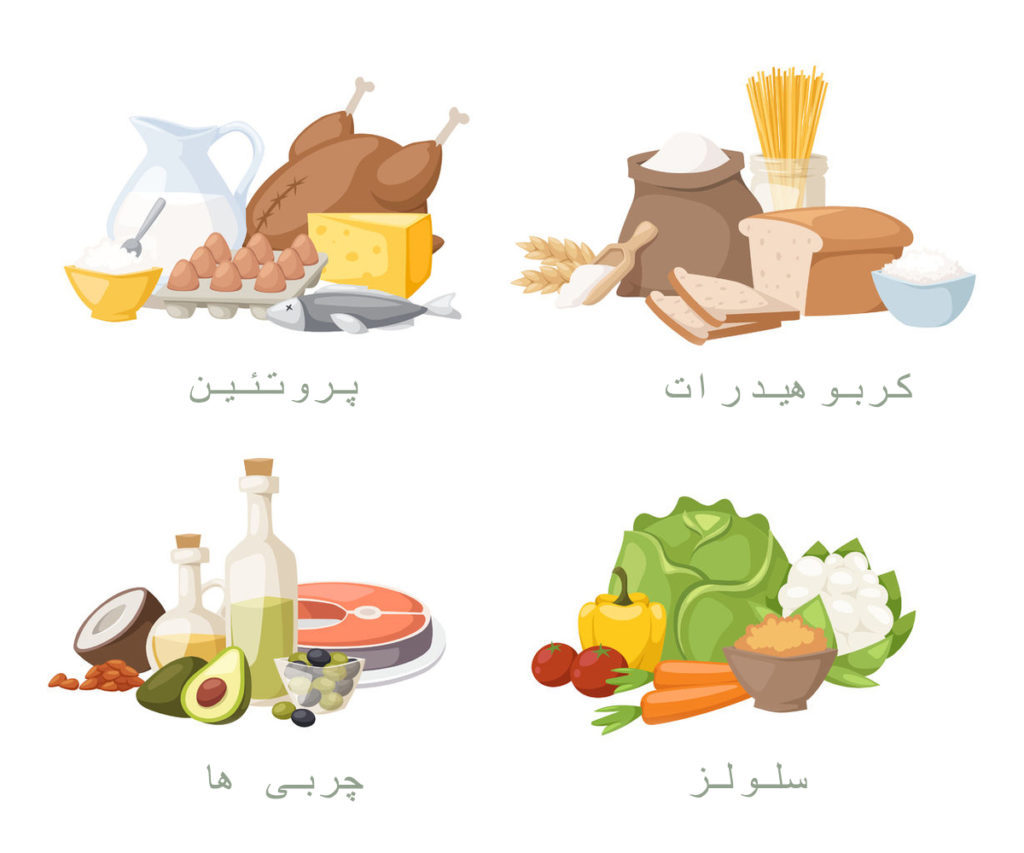 رژیم لاغری متعادل