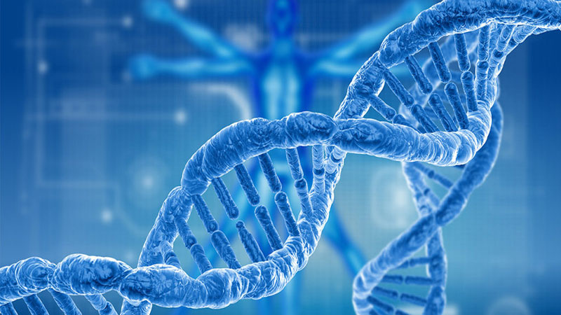 وراثت و عوامل ژنتیکی