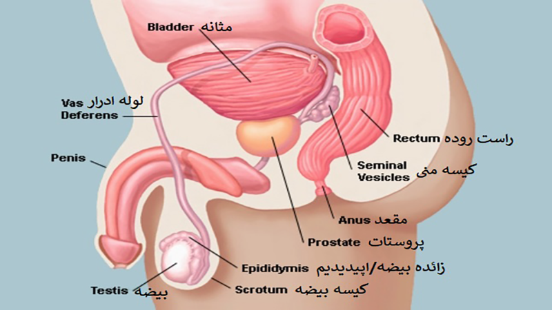 عوارض جراحی پروستات