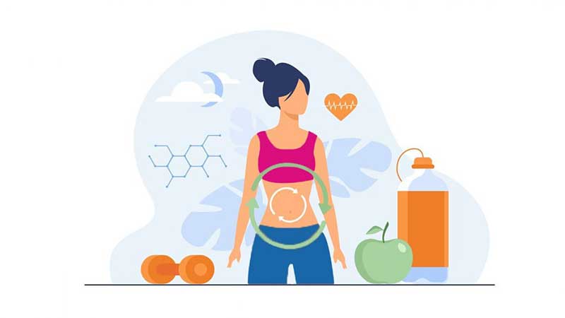 شناخت بدن و متابولیسم برای رژیم لاغری 